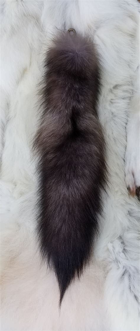 Black Wolf Tail Artofit
