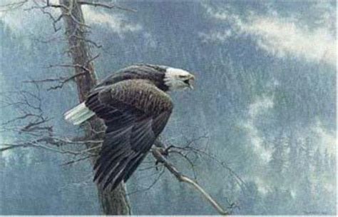 The Watch By Robert Bateman Eagle Painting Bald Eagle Eagle Wall Art