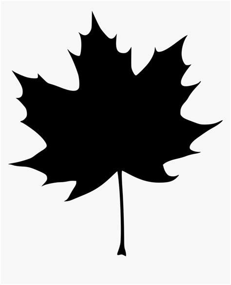 Real Maple Leaf Png Maple Png Leaf Image With Transparent Background