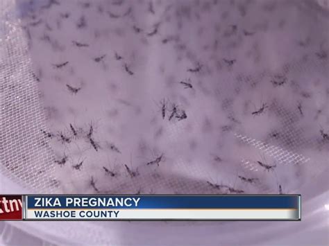 Washoe Officials Confirm Zika In Pregnant Woman