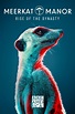 Watch Meerkat Manor: Rise of the Dynasty - S1:E1 New Beginnings (2021 ...