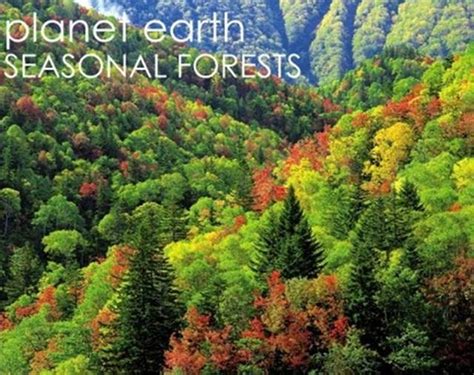 Discover The Worlds Greatest Woodlands On Planet Earth Seasonal