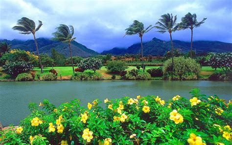 Hawaii Scenery Wallpapers Top Free Hawaii Scenery Backgrounds