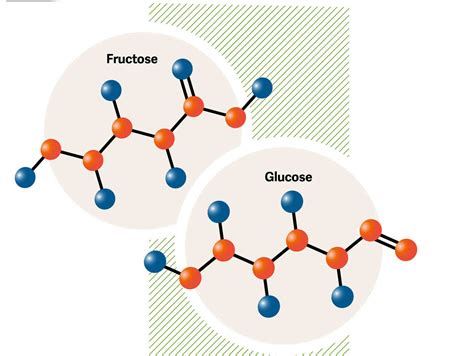 Y A T Il Une Différence Entre Le Fructose Et Le Glucose