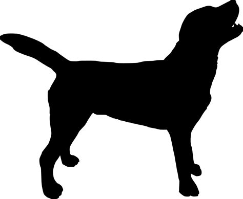 Labrador Svg Silhouette Dog Svg Dog Clipart Dog Vector Dog Instant