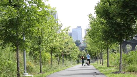 Mountain Bike Trail Near James River Park System In Richmond Virginia