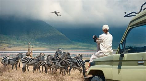Wildlife tourism has the potential to transform conservation • Earth.com