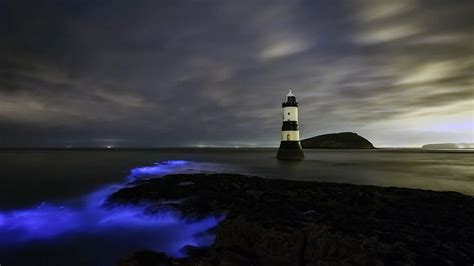 Bing Image Bioluminescence At Trwyn Du Lighthouse In Wales Bing Wallpaper Gallery