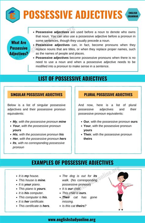 Possessive Adjectives Definition And Usage Useful Examples English Study Online