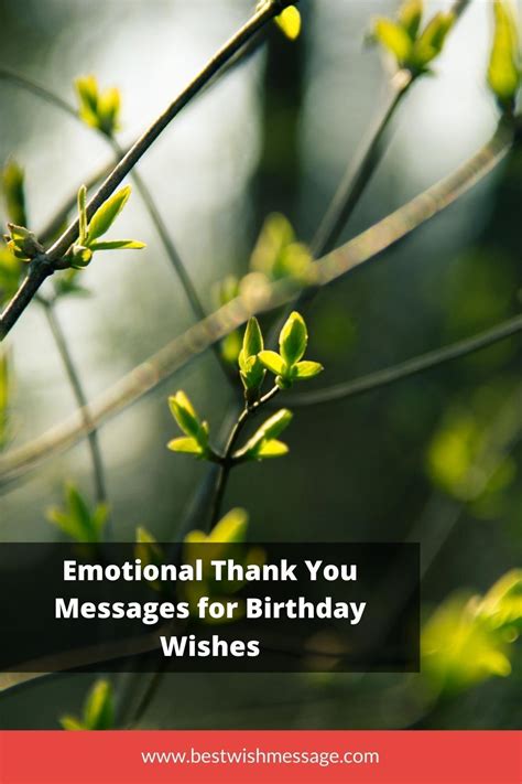 Emotional Thank You Messages For Birthday Wishes Thank You Messages