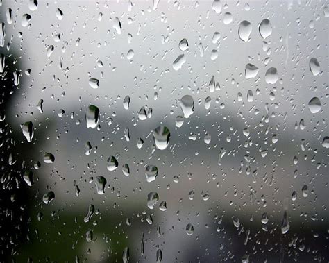 50 Beautiful Rain For Your Rainfall Hd Wallpaper Pxfuel