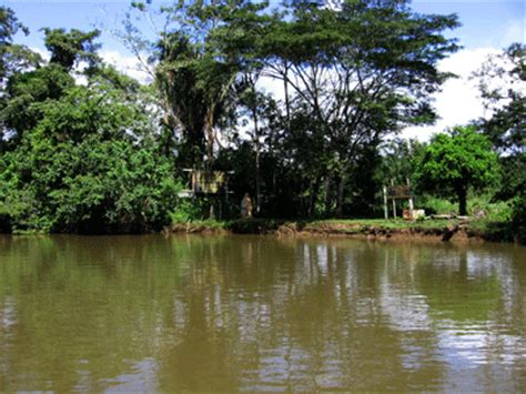 Log in to save gifs you like, get a customized gif feed, or follow interesting gif creators. David Magney - Costa Rica - Rio Frio-Los Chiles Photos