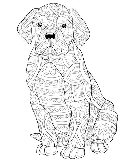 Adult Coloring Bookpage A Cute Dog With Ornaments Image