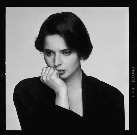 isabella rossellini by terry o neill isabella rossellini isabella terry o neill