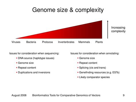 Ppt Genomes Powerpoint Presentation Free Download Id6352829