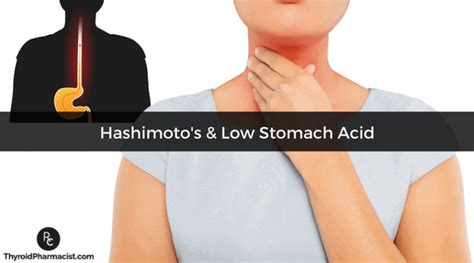 Hashimotos And Low Stomach Acid﻿ Dr Izabella Wentz
