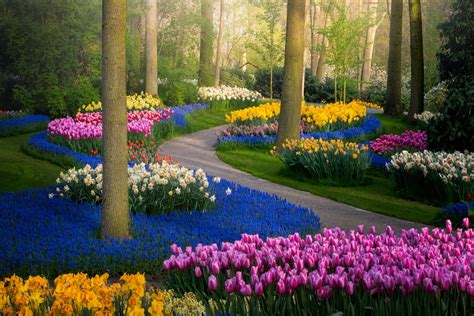With over nine years of experience, tyler specializes in gardening, planting, mulching, and potting. Check Out the Beautiful Flowers in Bloom at the Keukenhof