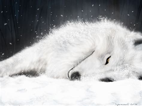 Sad Anime Wolf Wallpapers Wallpaper Cave