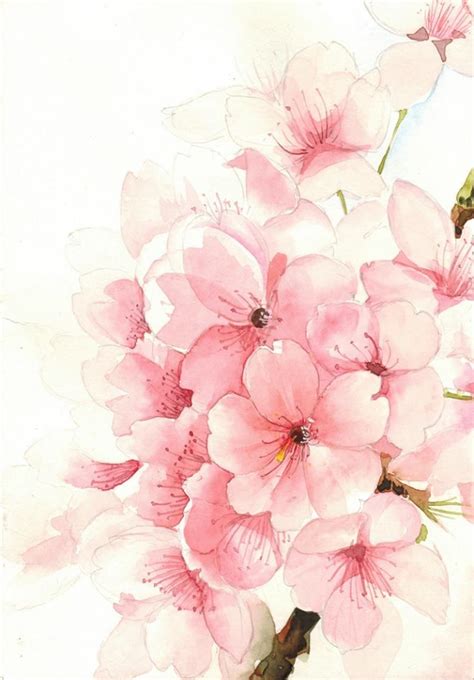 Cherry Blossom Wallpaper Art Cherry Blossom Wallpaper