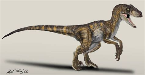 Jurassic Park Velociraptor The Big One By Nikorex On Deviantart Velociraptor Jurassic Park