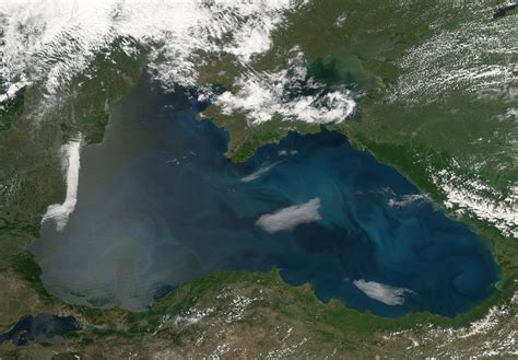 Phytoplankton Blooms In The Black Sea