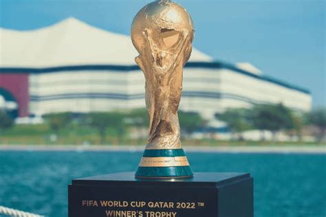 Fifa World Cup 2022 Qatar Hayya Card Holders Can Bring Three Non