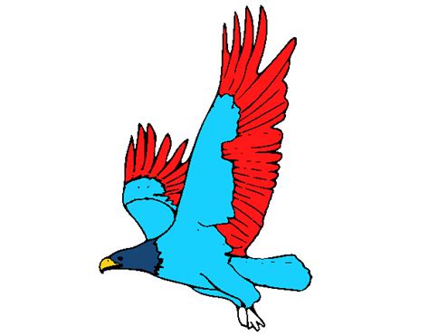 Desenho de Águia a voar pintado e colorido por Usuário não registrado o