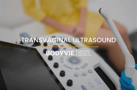 transvaginal ultrasound tvu private scans