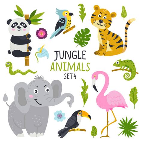 The Jungle Clip Art Illustrations Royalty Free Vector Graphics And Clip