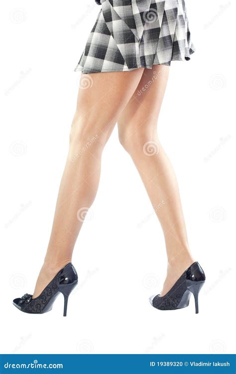 Women S Slender Legs Stock Photo Image Of Elegance Glamour