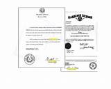 San Antonio County Clerk Marriage License Pictures