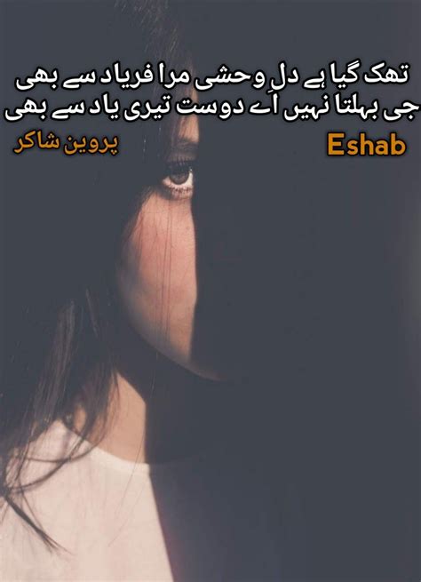 Pin by Eshab on جس کو ڈھونڈنے جائے مل یہ کہاں بساط دل Urdu