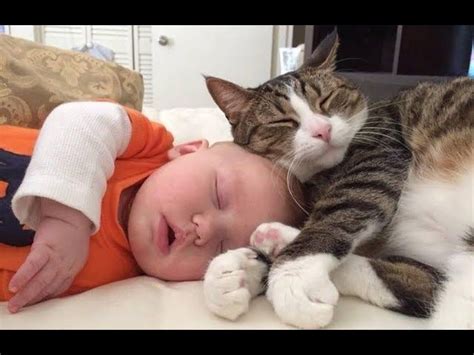 Cute Babies Sleeping With Dogs And Cats Cat Loves Baby