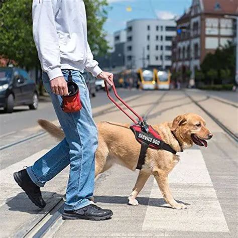 The 13 Best Service Dog Vests And Harnesses 2019 Doodles Daily