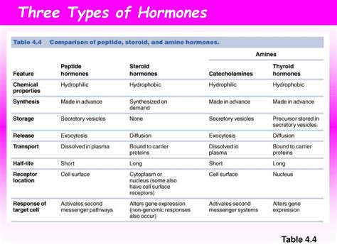 Ppt Hormones And Cell Signaling Powerpoint Presentation Free