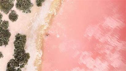 Rose Gold Desktop Wallpapers Pink Backgrounds Resolution