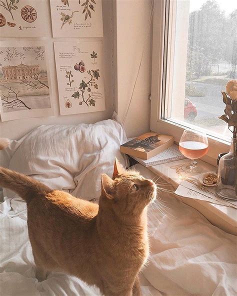 5 Easy Ways To Make An Extra 100 A Day From Home Cat Aesthetic Cute