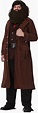 Charades Deluxe Hagrid Adult Fancy Dress Costume X-Large Brown: Amazon ...