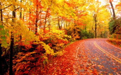 Fall Leaves Wallpaper Desktop ·① Wallpapertag