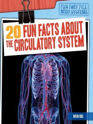 20 Fun Facts About The Circulatory System By Tayler Cole OverDrive