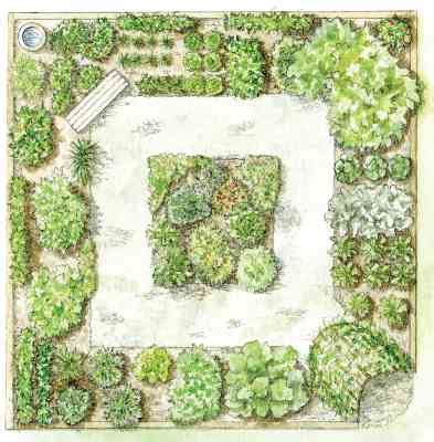 See more ideas about garden design plans, garden design, landscape plans. Step By Step Your Garden Grows: Five-Year Kitchen Garden ...