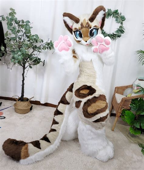🍁aseol Fursuit 한아설 ️ On Twitter Cat Furry Fursuit Furry Furry Costume