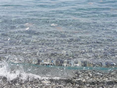 Caulonia Naviga In Un Mare Di Merda Ciavula