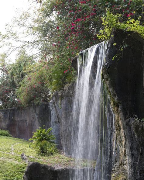 Waterfall Scenery Stock Photos Waterfall Scenery Beauty Peaceful