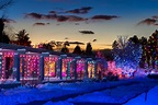 Blossoms of Light | Denver Botanic Gardens