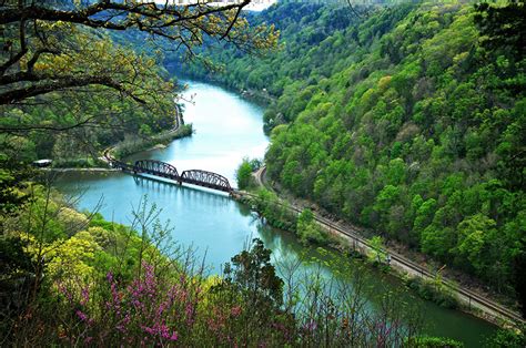 Fondos De Pantalla Fotografía De Paisaje Ríos Bosques Puentes