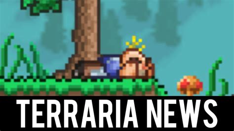 This Terraria Npc Could Trigger New Event Youtube
