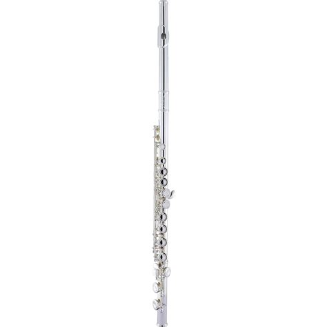 Armstrong Afl201 Closed Hole Student Flute Woodwind And Brasswind