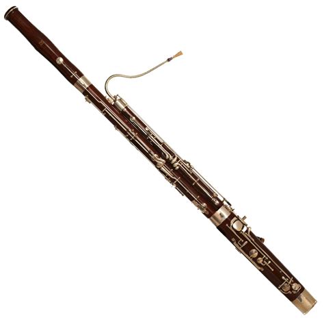Bassoon Information And Resources String Sound Studios