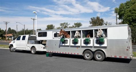5 Tips For Buying A Horse Trailer Crossroads Trailer Sales Blog